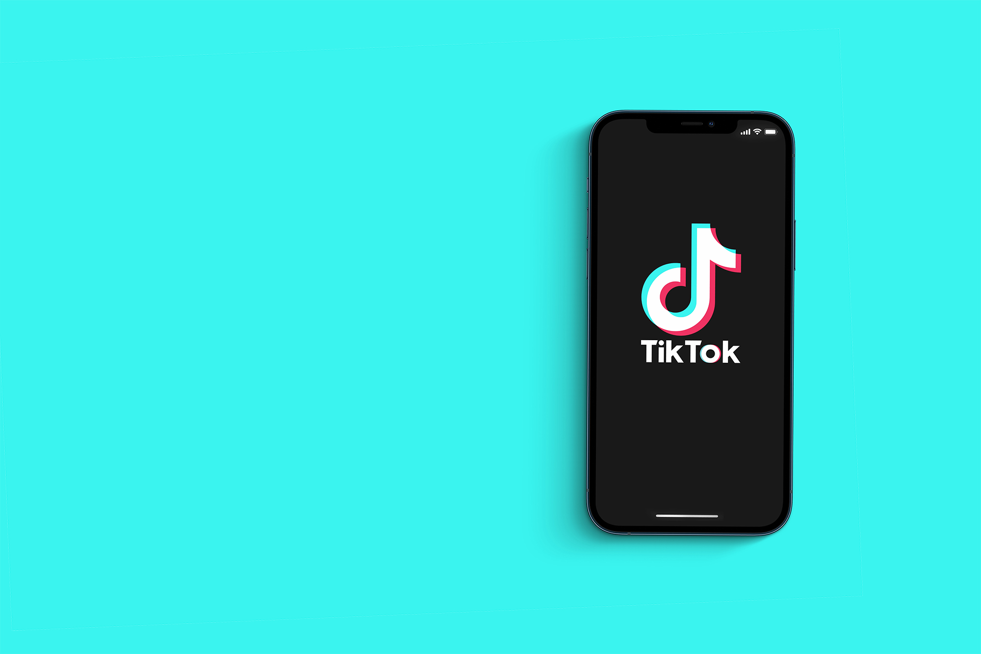 TikTok Disrupts the Scene: The Fresh Search Widget That Challenges Google