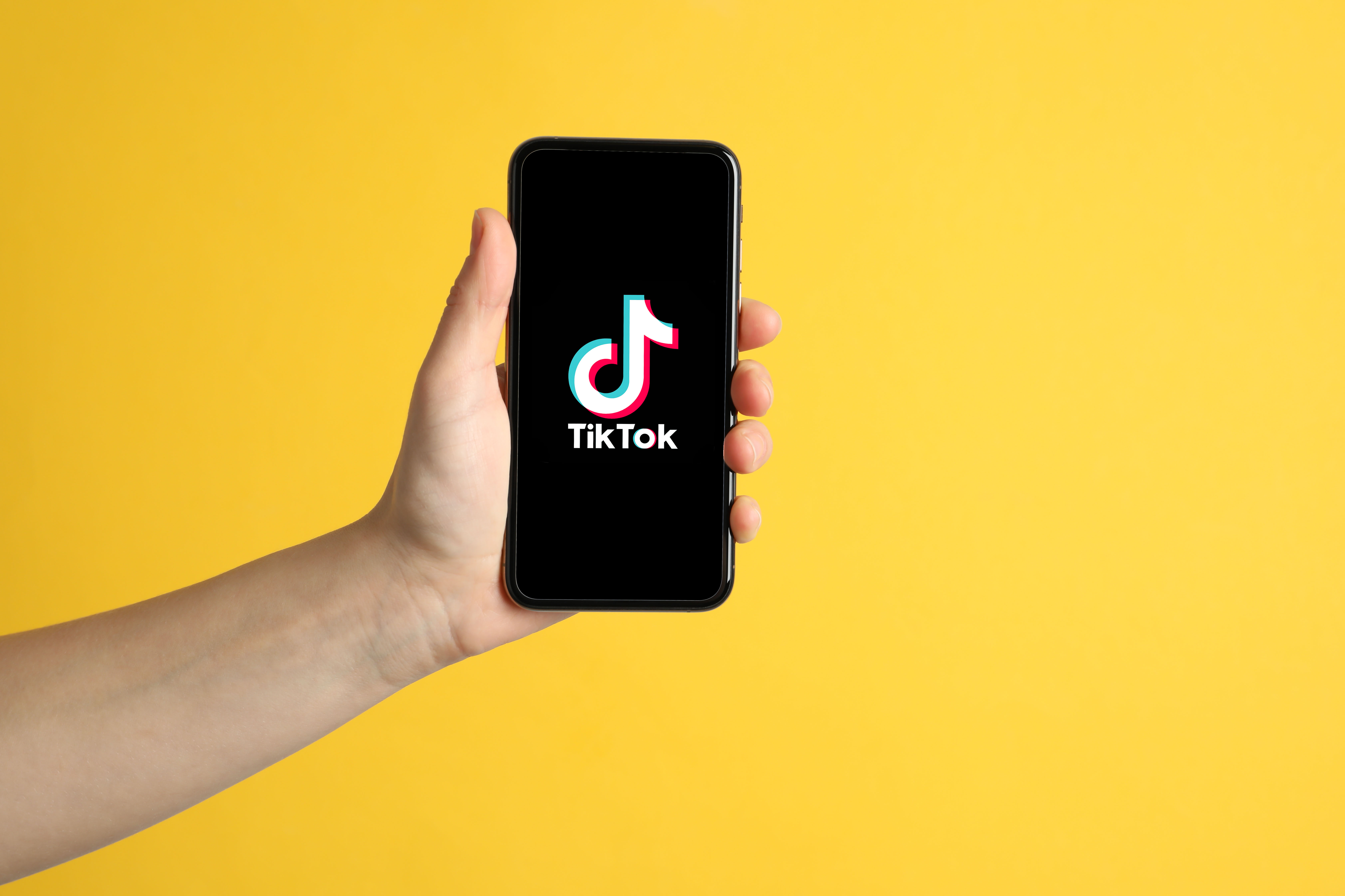 Reshaping the Ad Wheel: TikTok Launches Search Ads